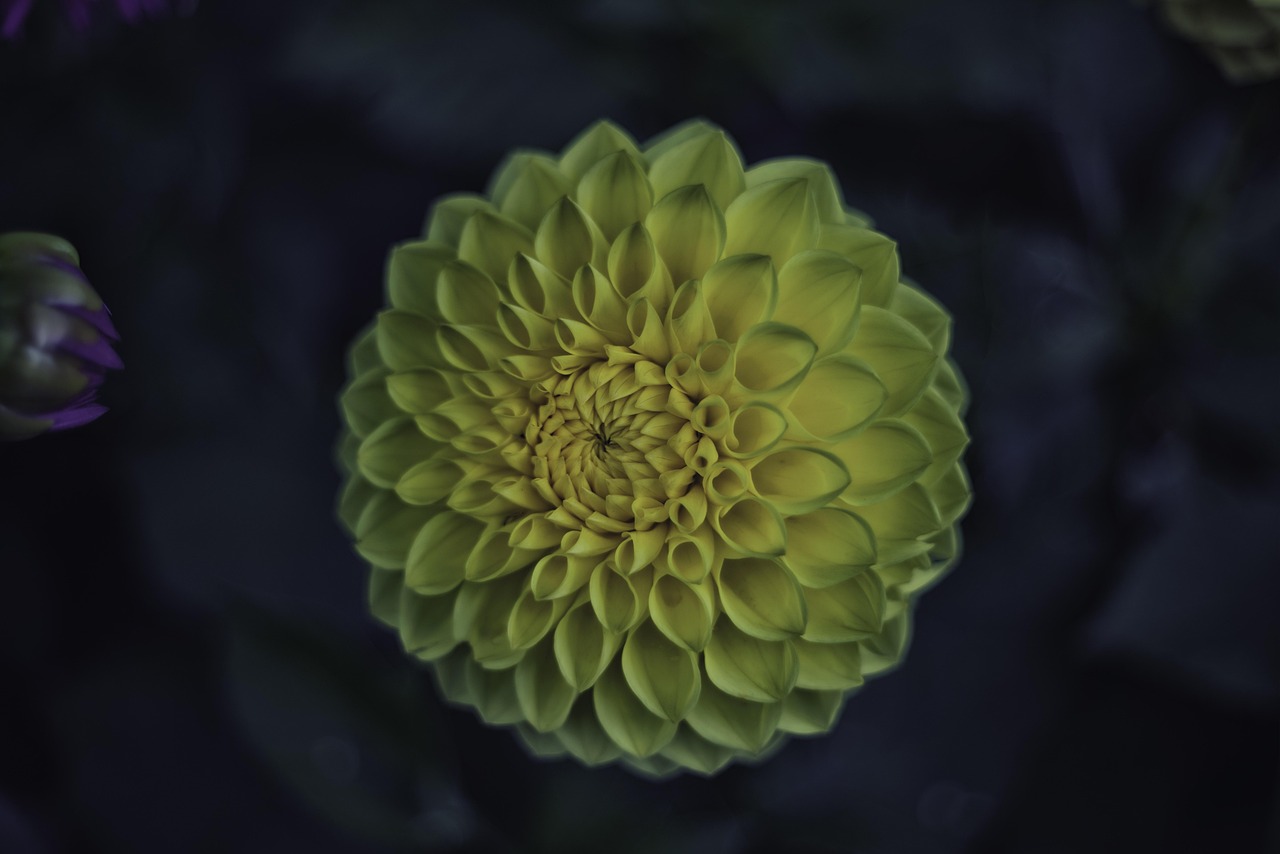 青山紙業五月最新動態與發展報告揭秘